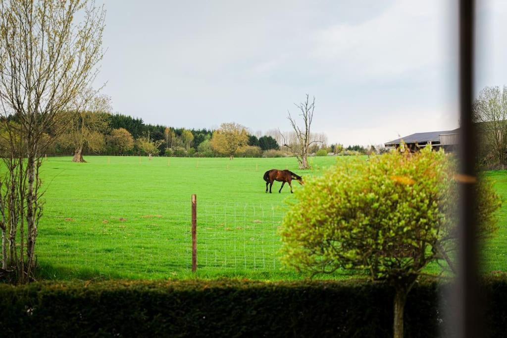 Gite La Dame Au Lit Gite A La Ferme Momignies エクステリア 写真