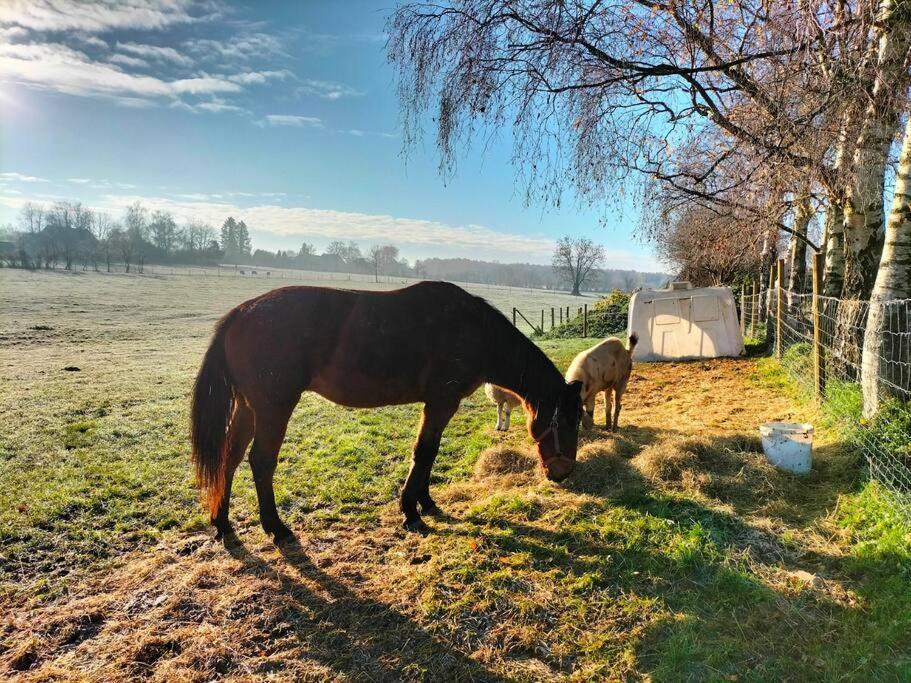 Gite La Dame Au Lit Gite A La Ferme Momignies エクステリア 写真