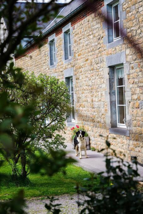 Gite La Dame Au Lit Gite A La Ferme Momignies エクステリア 写真